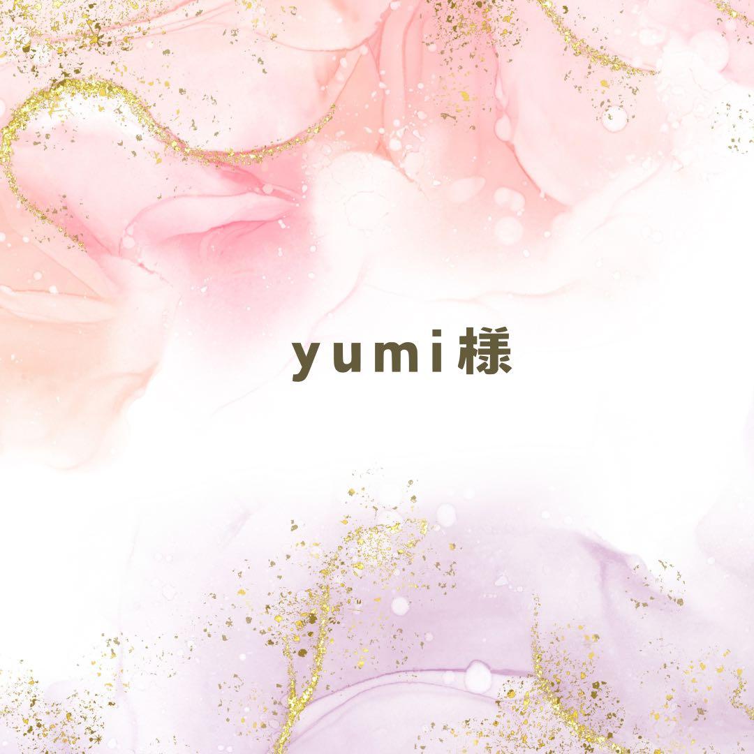 yumi様❤️25点お手続きページ②
