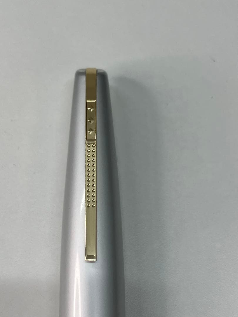 万年筆2本セット ペン先14K PLATINUM プラチナム　14K【A916】