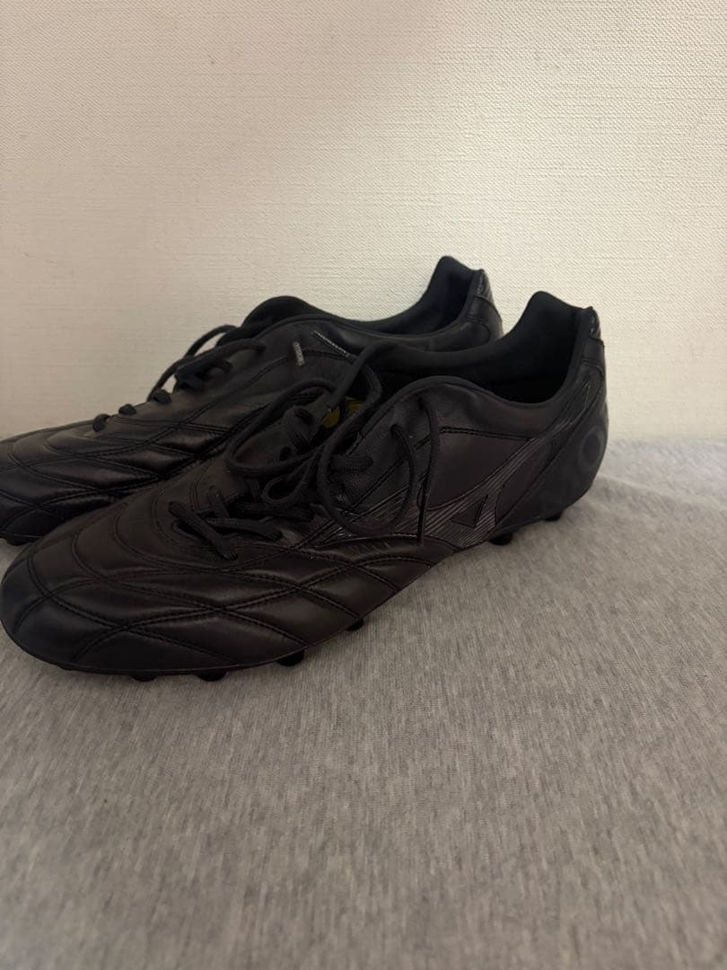 モレリア PROTO JAPAN Ltd AG