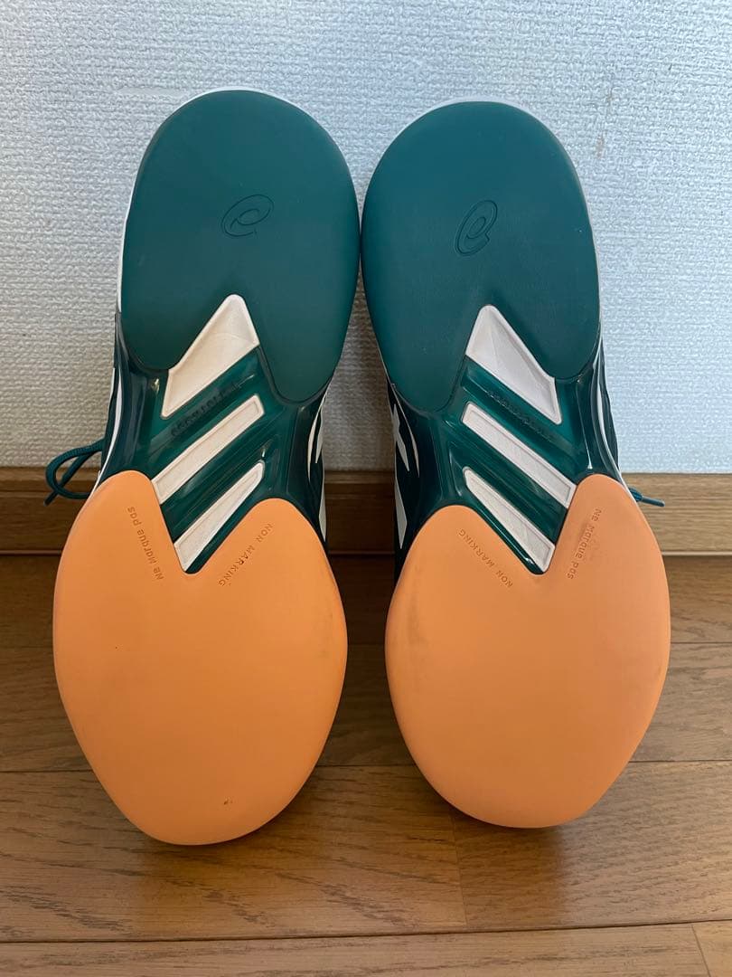 アシックス テニスシューズ カーペットコート ソリューションスピード　28cm