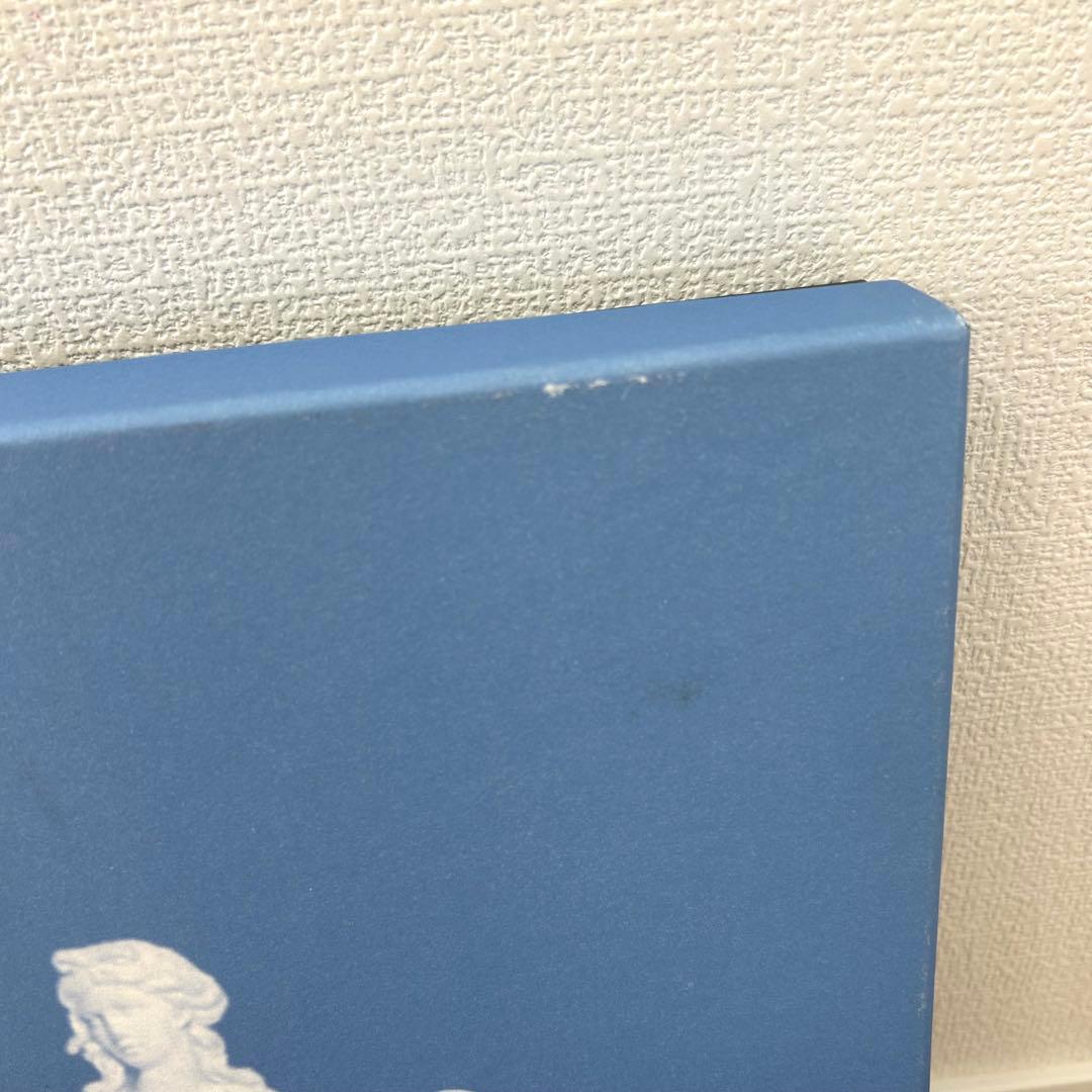 【希少 】 アンセミオン ルビー オーバルプレート 35cm