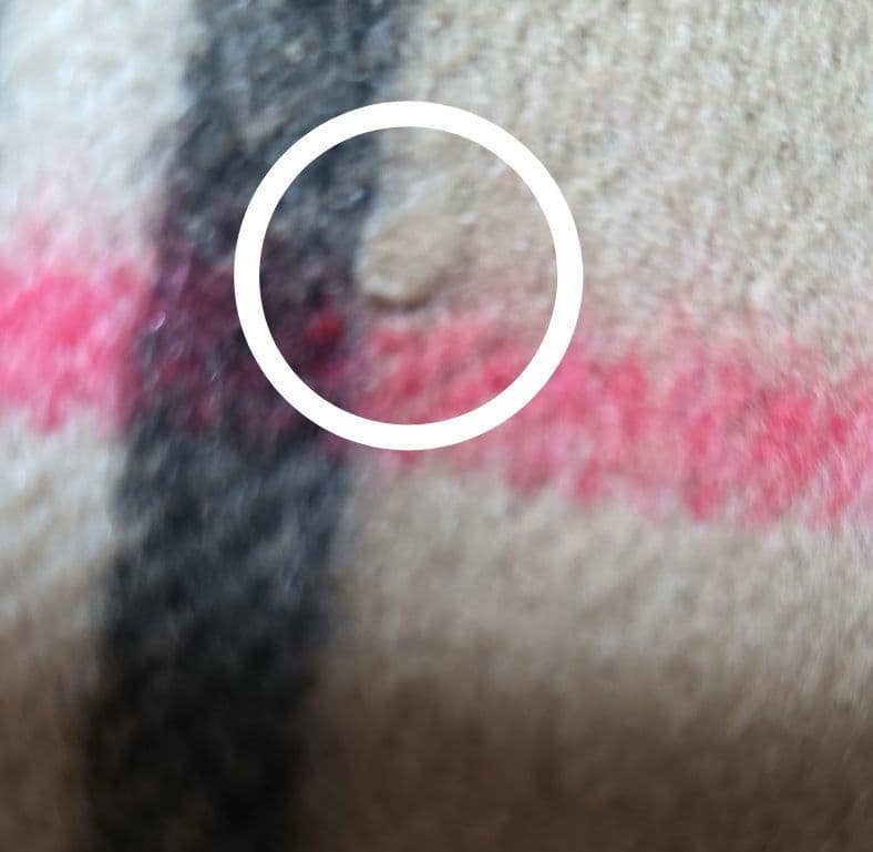 美品 BURBERRY カシミア100％マフラー ノバチェック