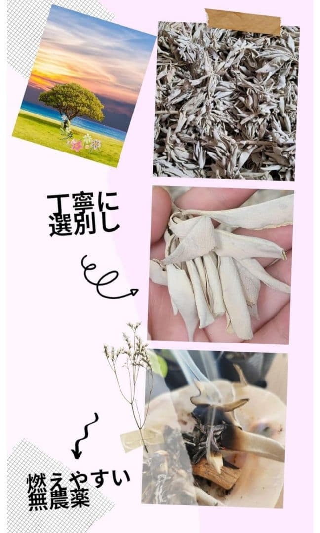 激安価格タイムセール☆無農薬ホワイトセージ枝付きクラスター１ｋｇ