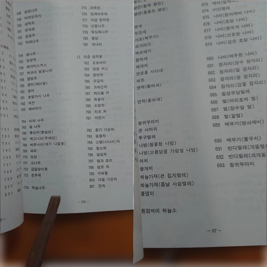 家庭保育園たのしい絵カード 1500枚 ABC CD付き