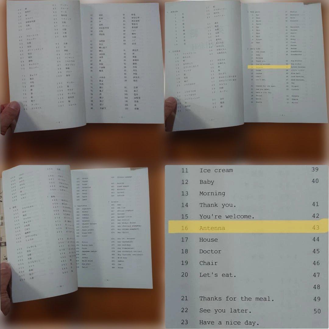 家庭保育園たのしい絵カード 1500枚 ABC CD付き