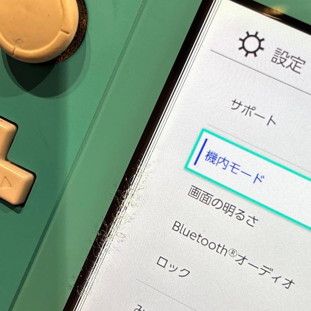 日*5様 ☆中古訳あり☆ニンテンドースイッチ ライト ターコイズ 本体のみ