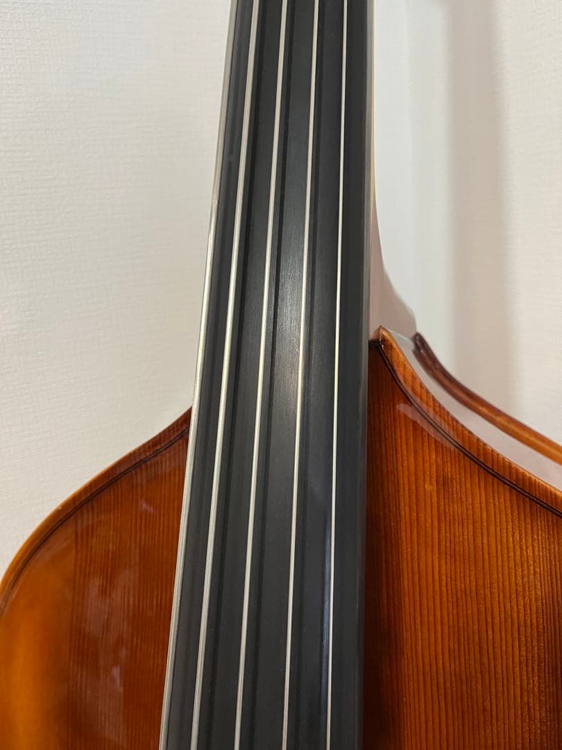 【mkt】Reghin 5弦コントラバス