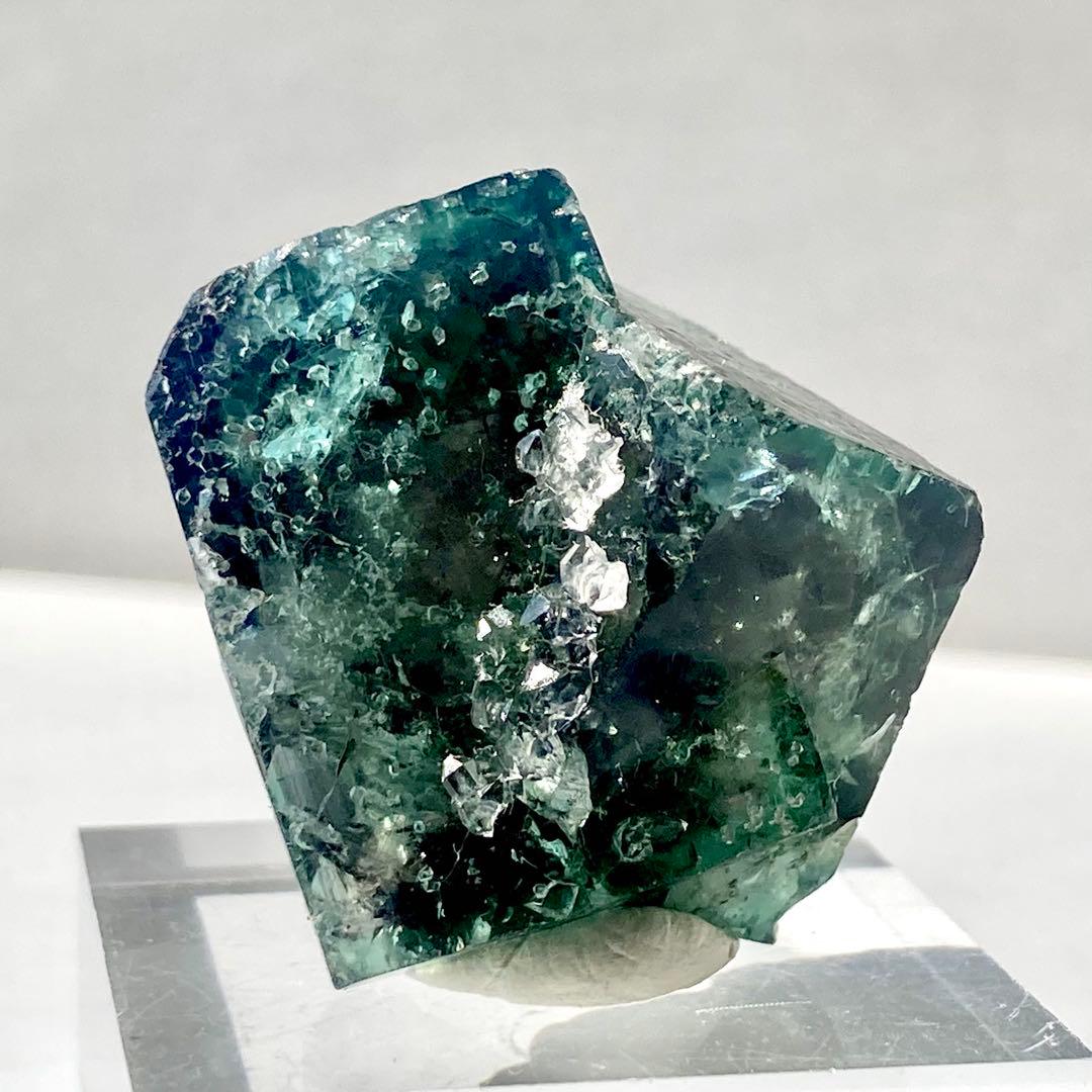 481 UK イギリス Supernova Pocket フローライト