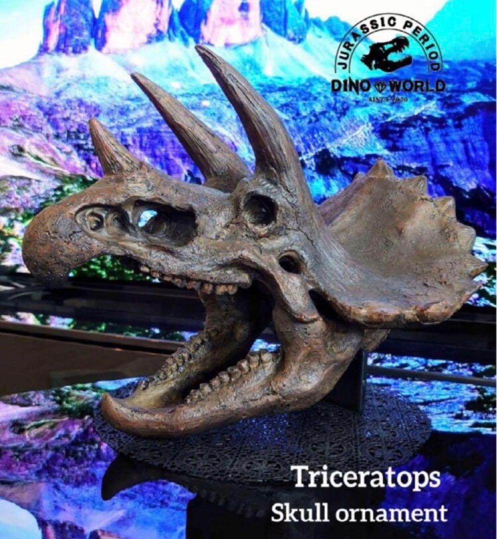 ✨大迫力✨ トリケラトプス　恐竜の化石 レプリカ ジュラシックワールド