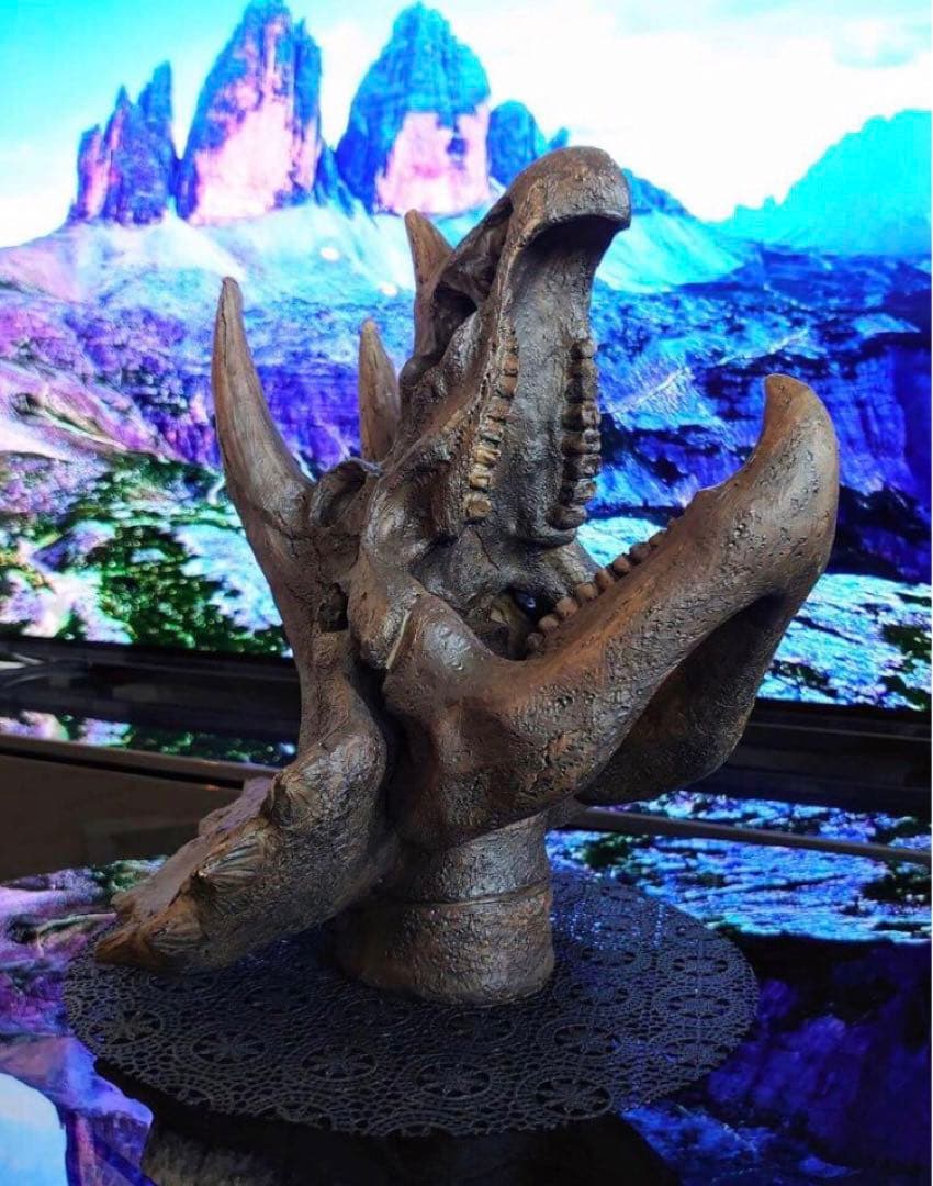 ✨大迫力✨ トリケラトプス　恐竜の化石 レプリカ ジュラシックワールド