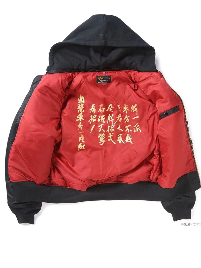 STRICT-G ALPHA 『機動武闘伝Gガンダム』ドモン・カッシュモデル