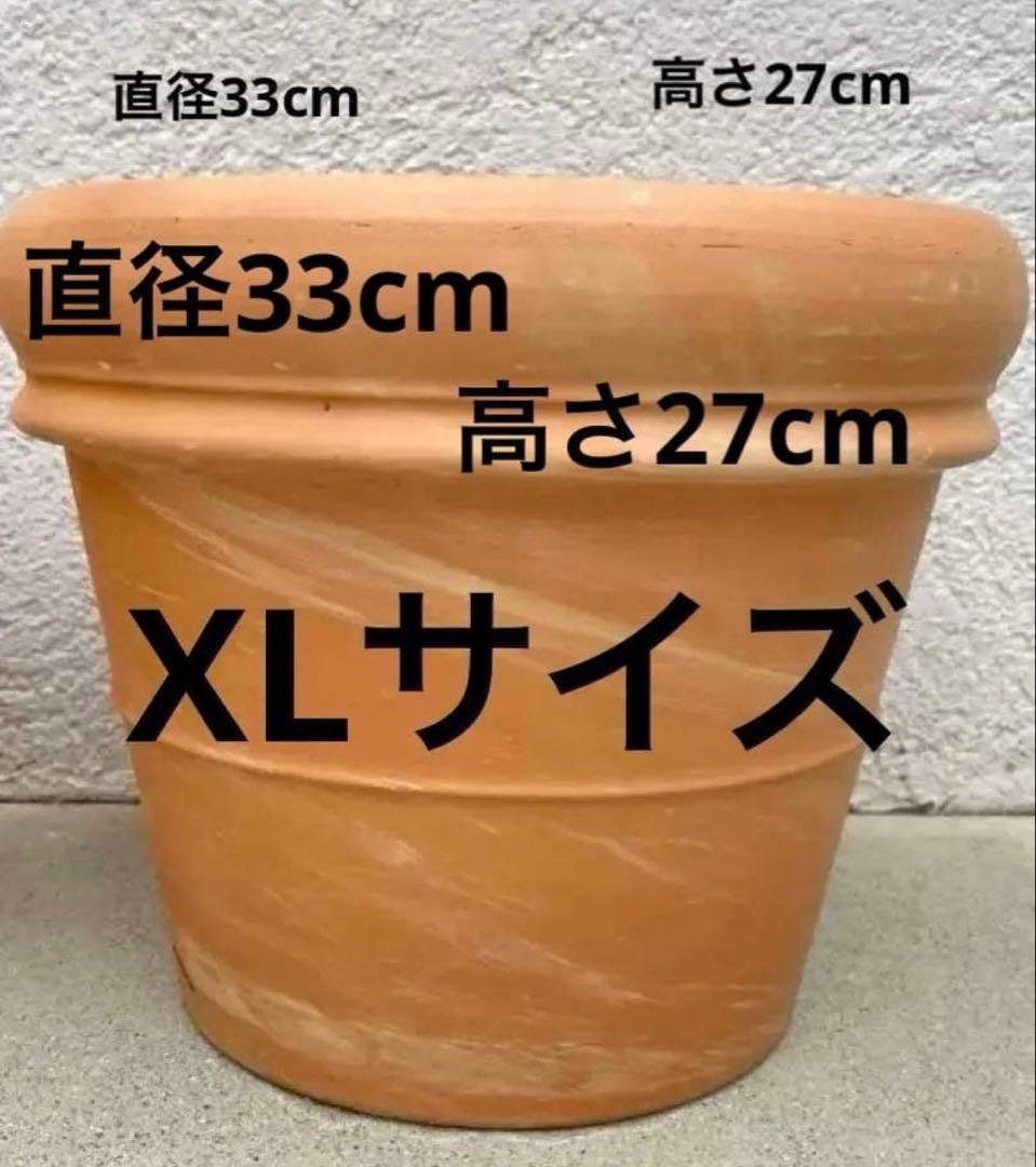 テラコッタ鉢1つ