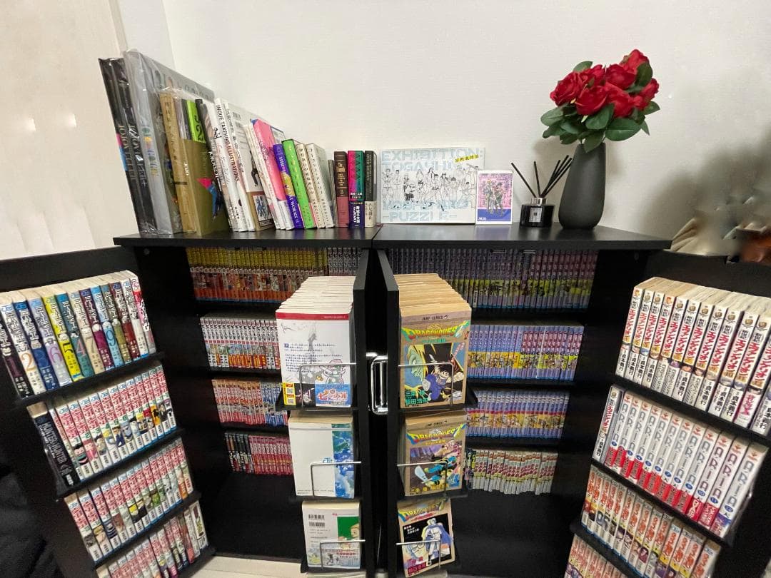 【訳あり美品】本棚 大容量 組立済み （ブラック）