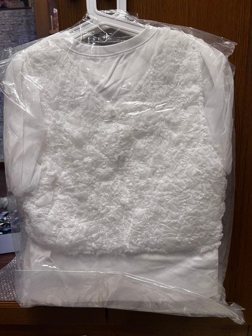 【SALE❣️】TULLE VEST LAYERED TOPS CLANE