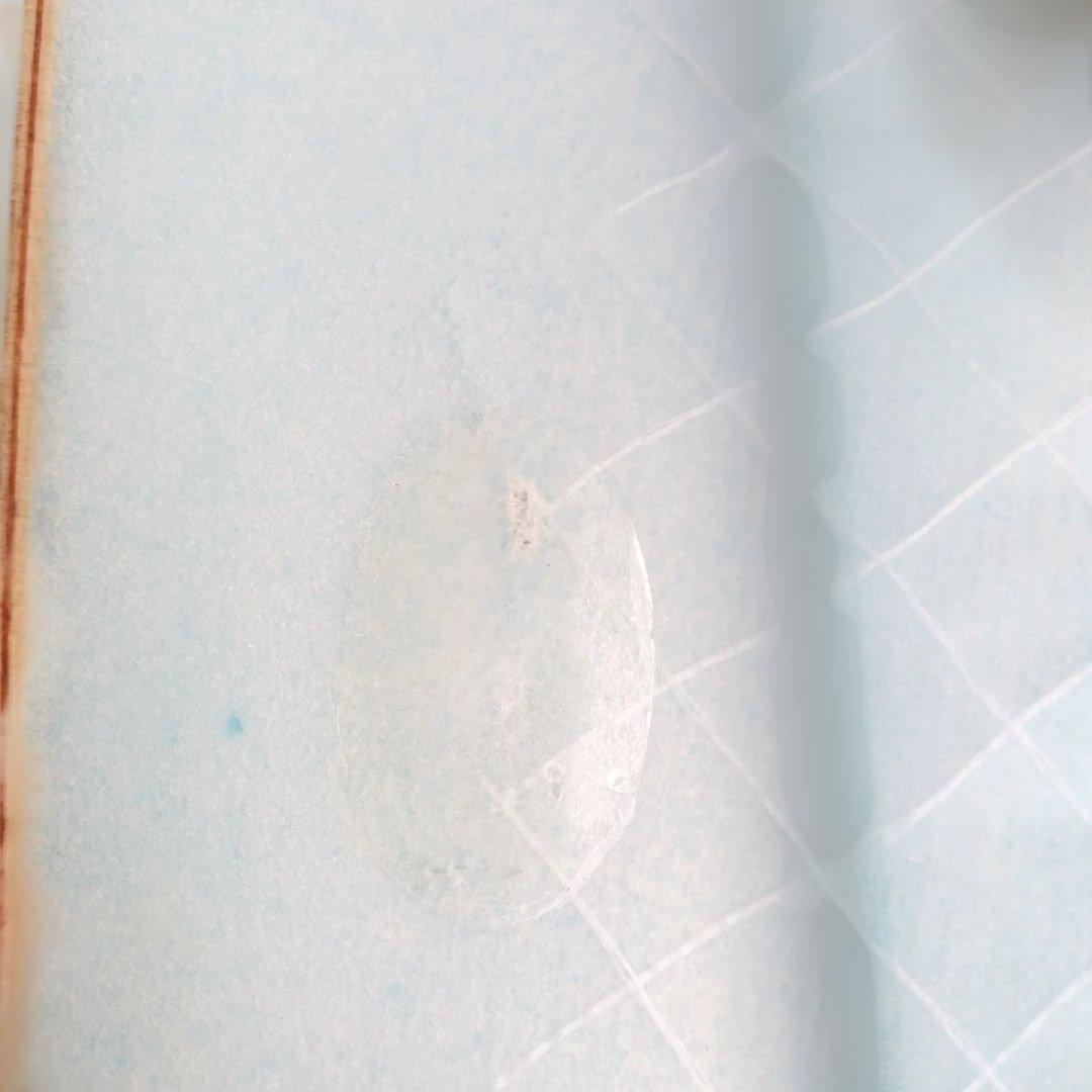 美品ＤＨＤミニツィン2