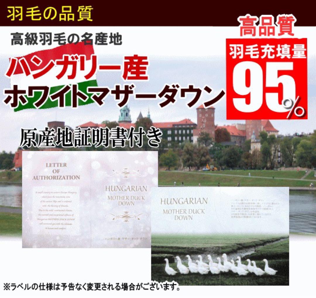 羽毛布団 セミダブル ハンガリー産ホワイトマザーダック 超長綿 二層 生成り