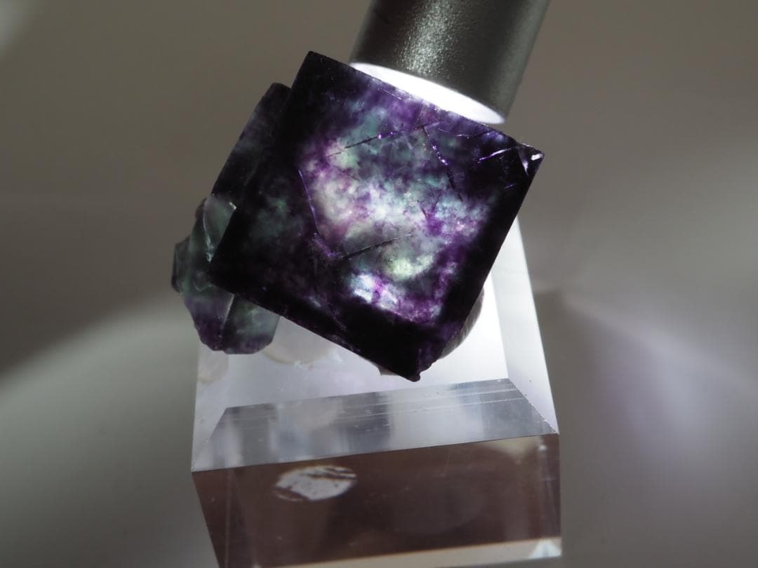 オコルス フローライト 蛍石 鉱物標本 449