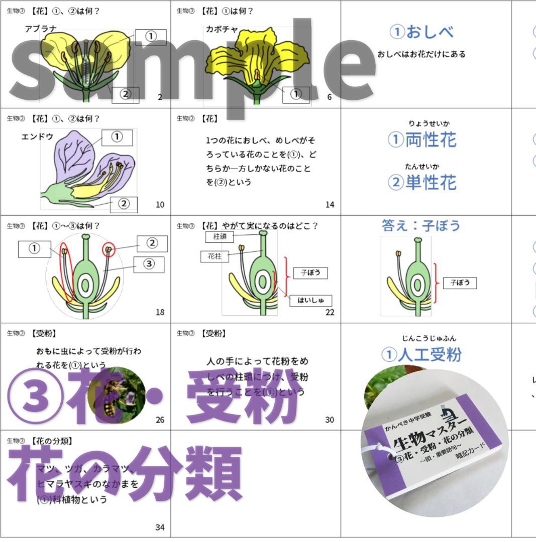 【074】生物・化学・地学・物理マスターセット　中学入試理科　テスト対策
