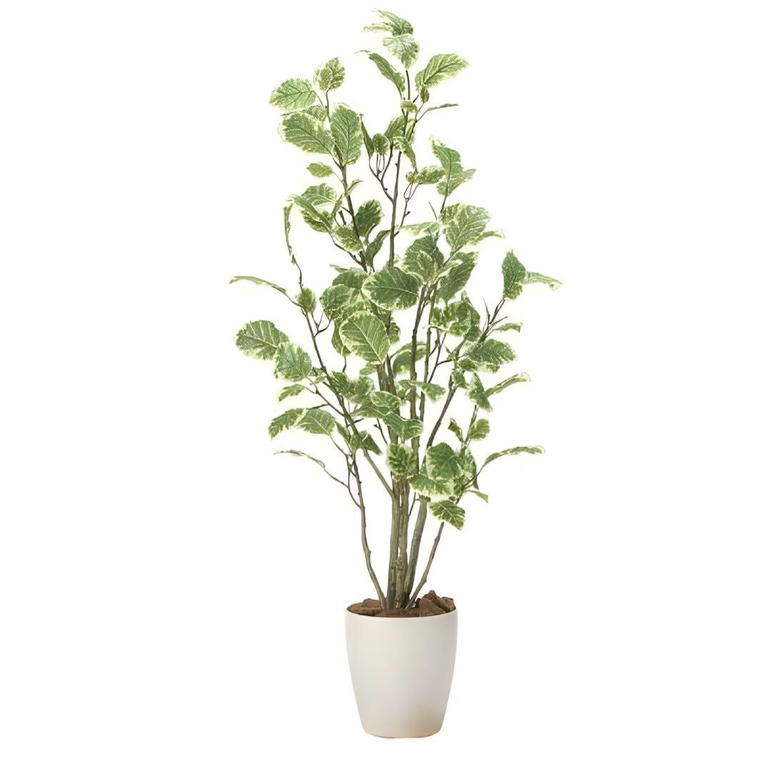 光触媒　人工観葉植物　ウォールグリーン　フェイクグリーン　ポリシャス1.15