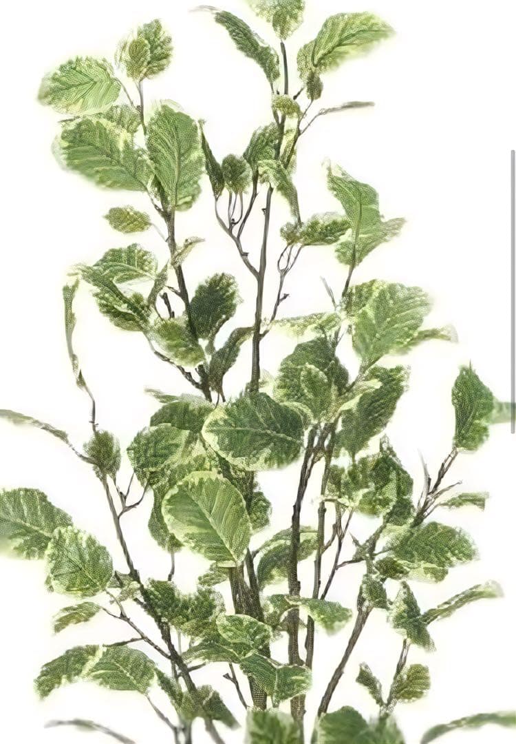 光触媒　人工観葉植物　ウォールグリーン　フェイクグリーン　ポリシャス1.15