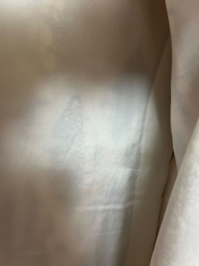 振袖　成人式　藤文様　美品　長襦袢セット