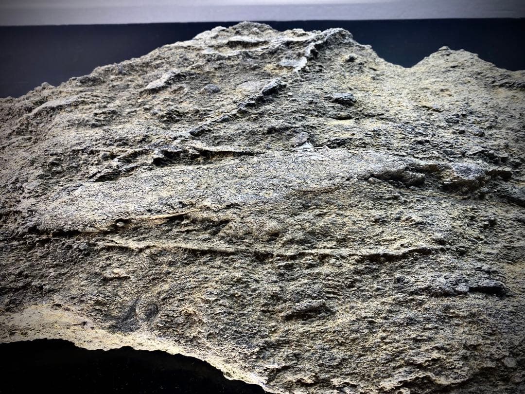 6585 佐治川石 ウブ 横56.5cm 重量:6kg 水石 盆栽 鑑賞石