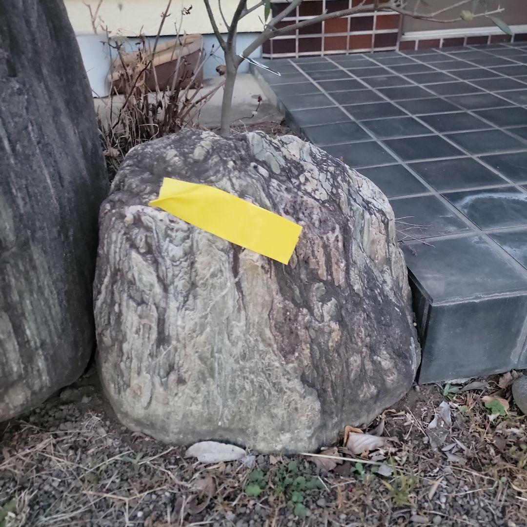 庭 鑑賞用 石 庭園