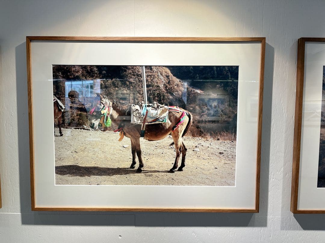 MIDNIGHT PIZZA CLUB Tシャツ M