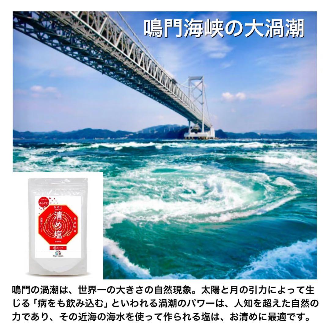 hhkk 8種類 盛り塩16個 八角皿ノーマル16枚