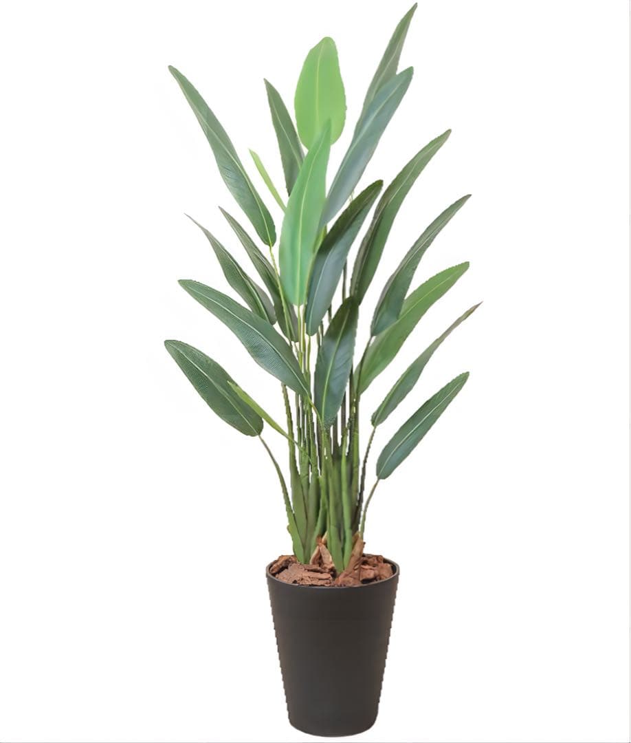 光触媒　人工観葉植物　ウォールグリーン　フェイクグリーン　ストレチアレギア