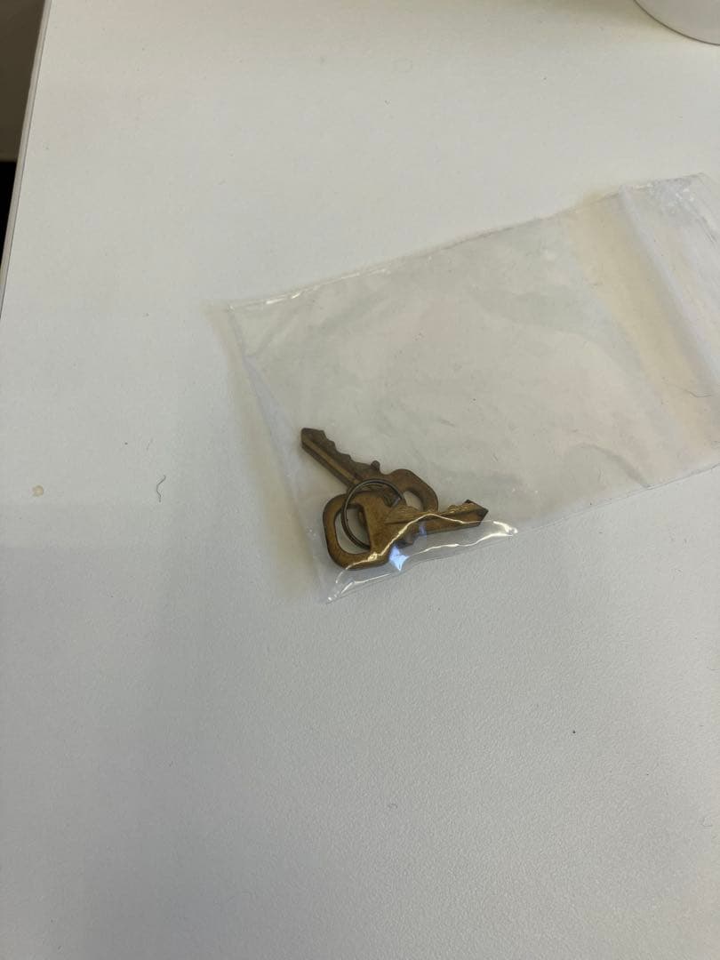 ルイ・ヴィトン ボストンバッグ キーポル45