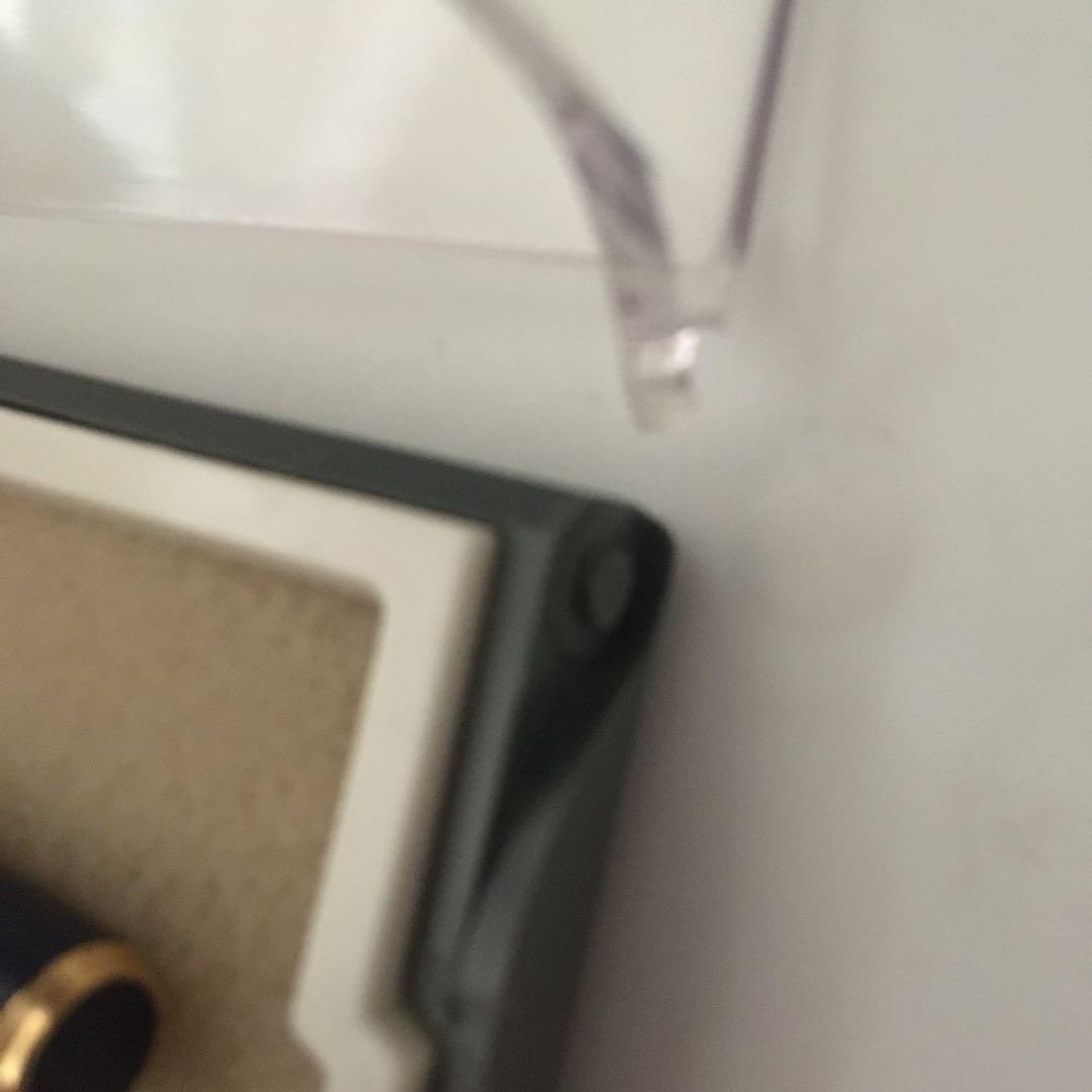 パイロットボールペン　ぺんてるビクーニャ