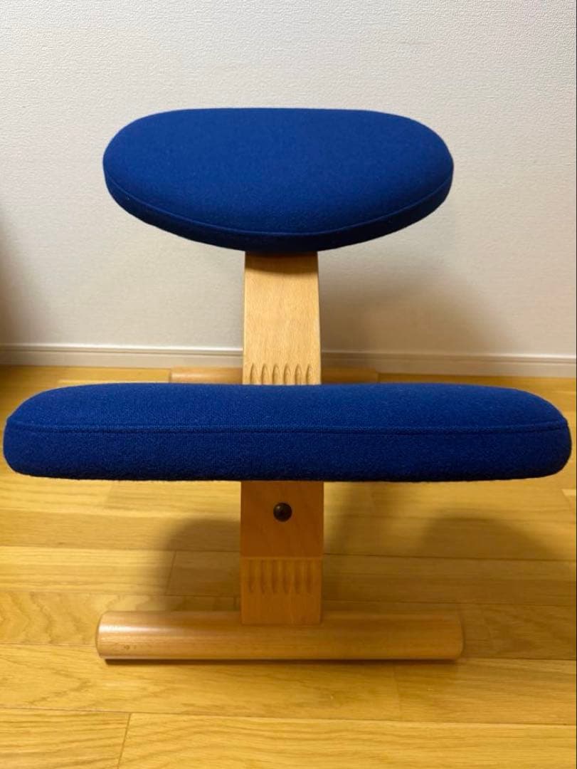 Rybo社 リボ社　［専用カバー付]　バランスチェア イージー