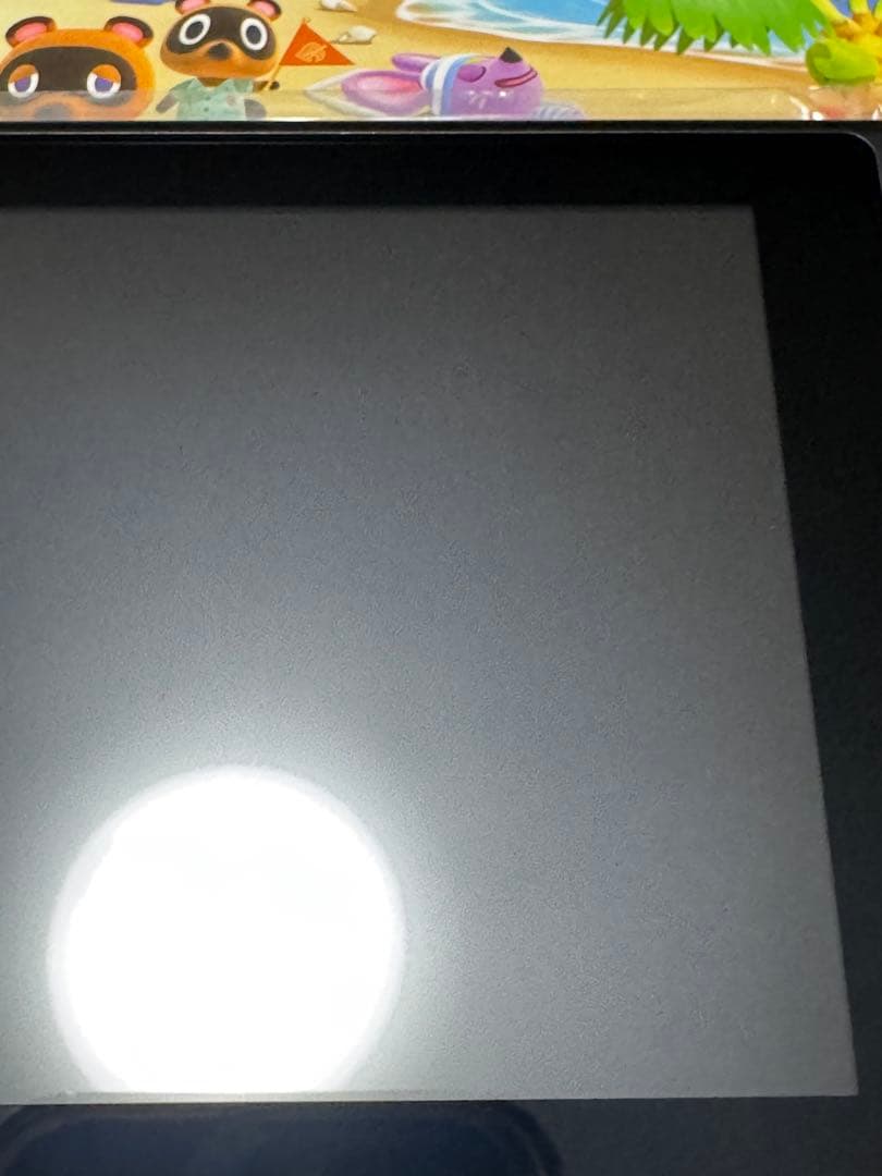 Nintendo Switch あつまれどうぶつの森セット　中古　本体　あつ森