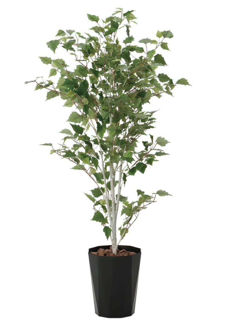 光触媒　人工観葉植物　ウォールグリーン　フェイクグリーン　白樺1.4m