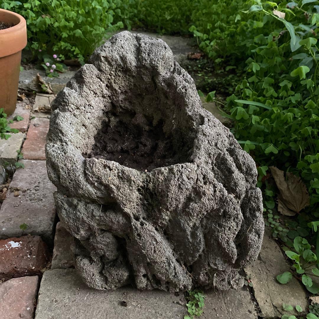 植木鉢　庭石　ロックガーデン　岩　溶岩石　オブジェ