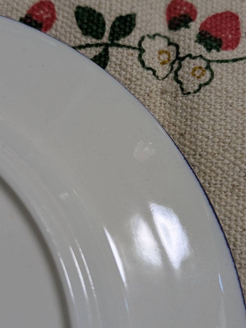 アラビア PAJU プレート 19.5cm プレート 2枚セット 北欧