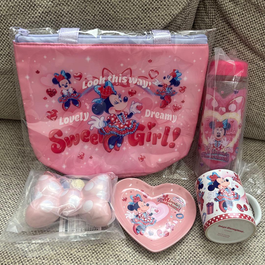 ディズニー パルパルーザ ファンダーランド ミニー スーベニア ５点セット