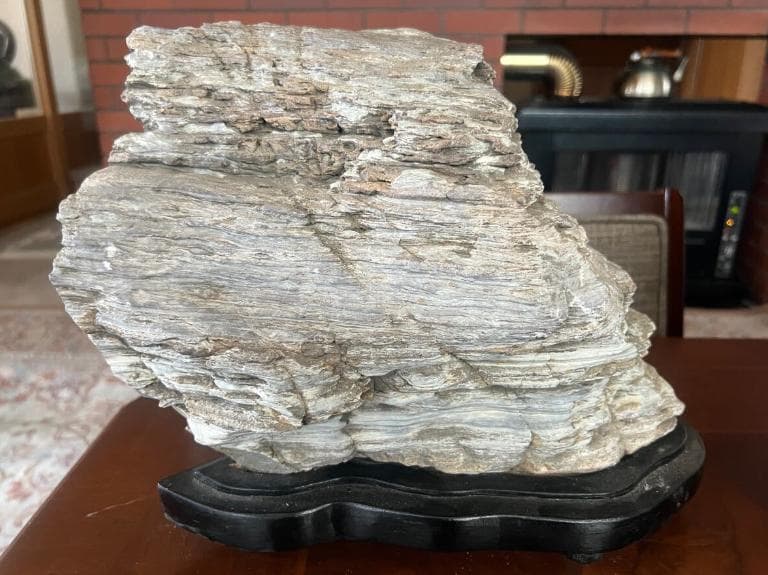 石収集家 人生コレクション 珪化木 天然石 鑑賞石 自然石 置物 台座付 お宝