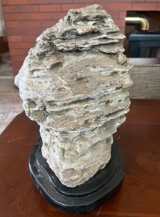 石収集家 人生コレクション 珪化木 天然石 鑑賞石 自然石 置物 台座付 お宝