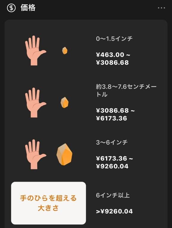 石収集家 人生コレクション 珪化木 天然石 鑑賞石 自然石 置物 台座付 お宝