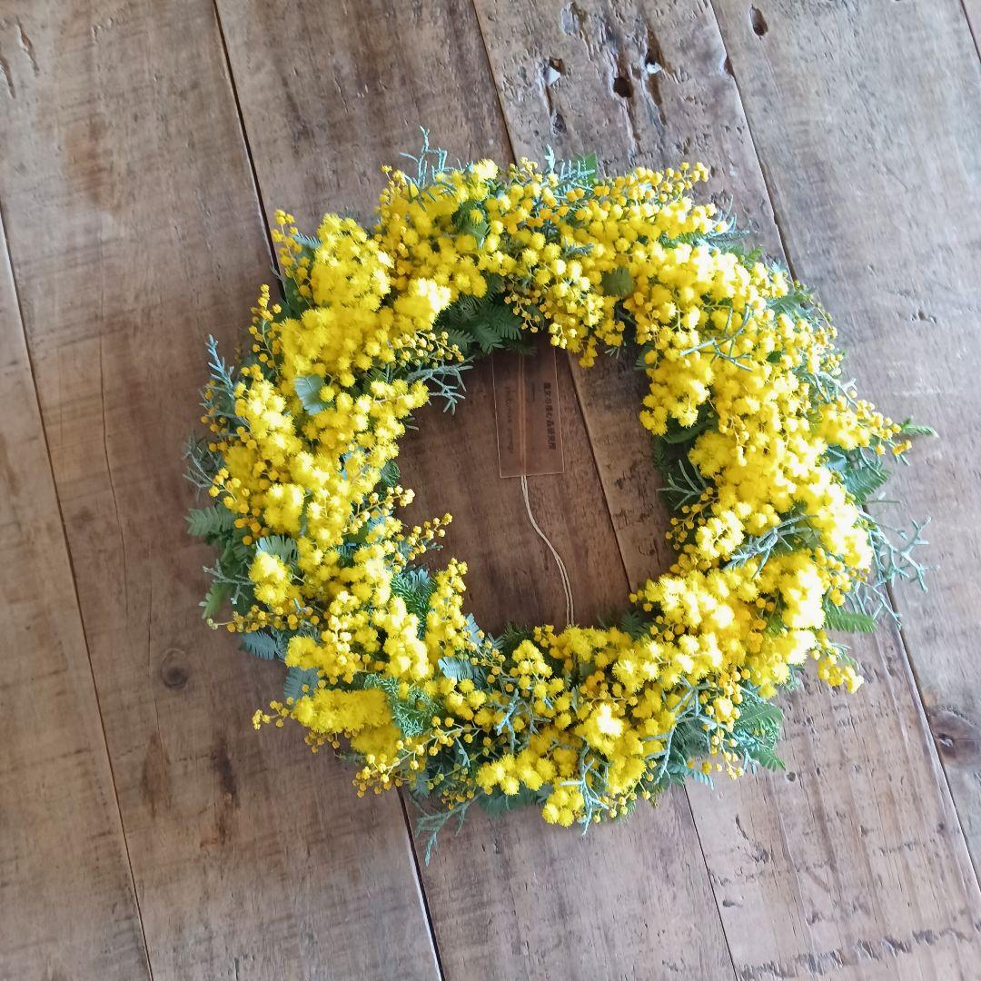 新品 未使用 ミモザ リース ドライフラワー 30cm 【ご予約スタート】