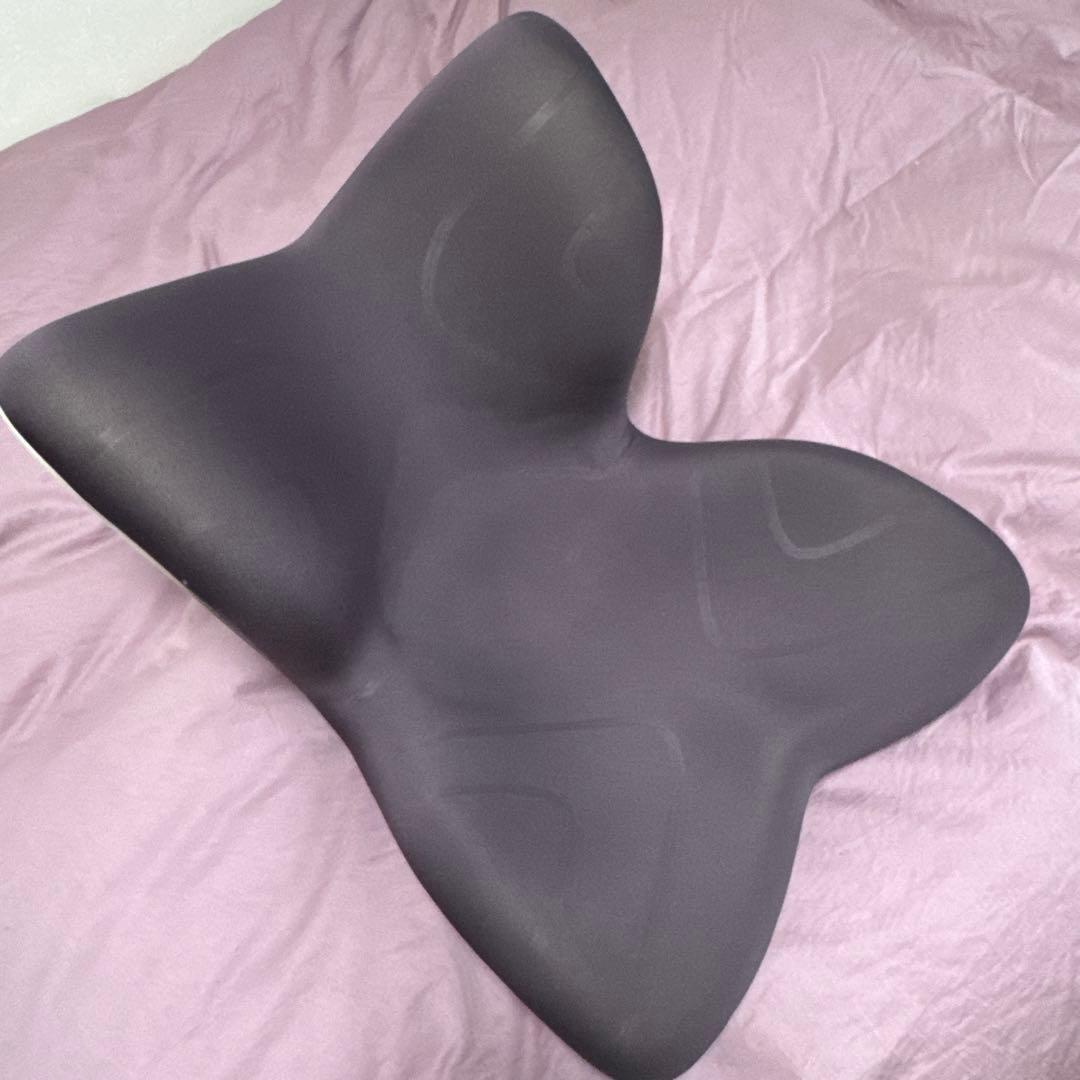 【美品2025年10月購入】StylePREMIUM スタイルプレミアムブラウン