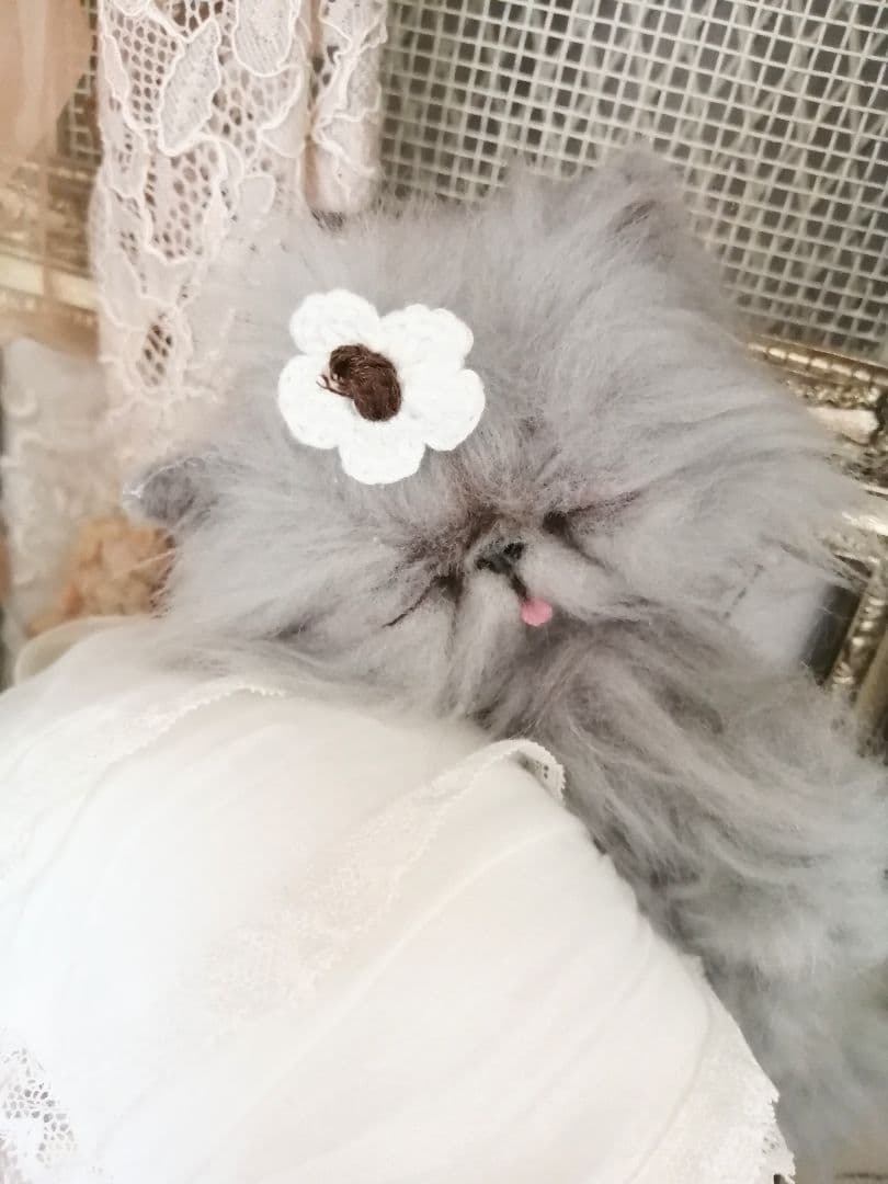 おねむちゃん♡エキゾチック子猫ちゃん♡アートドール♡ぬいぐるみ♡