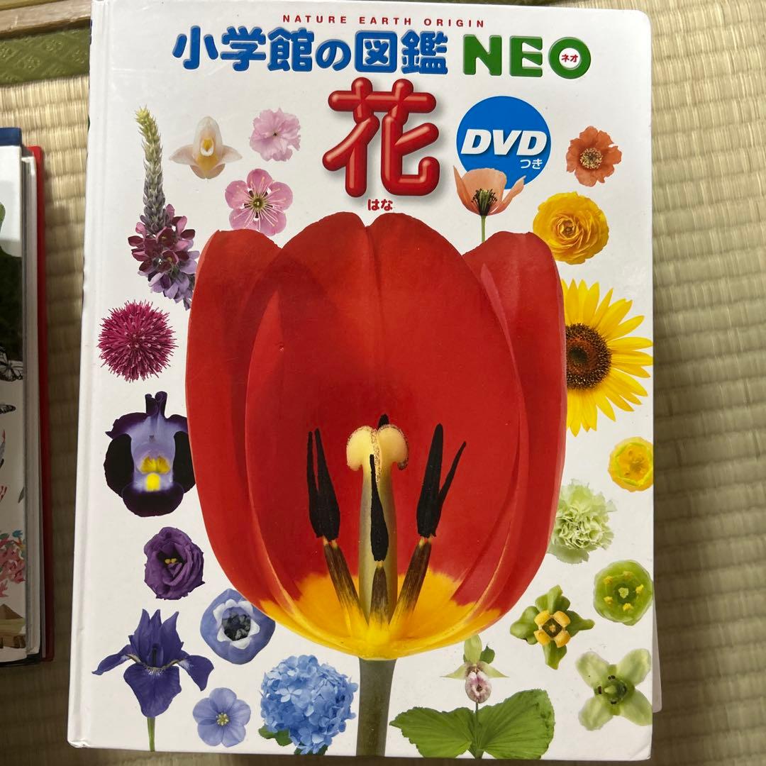 専用！