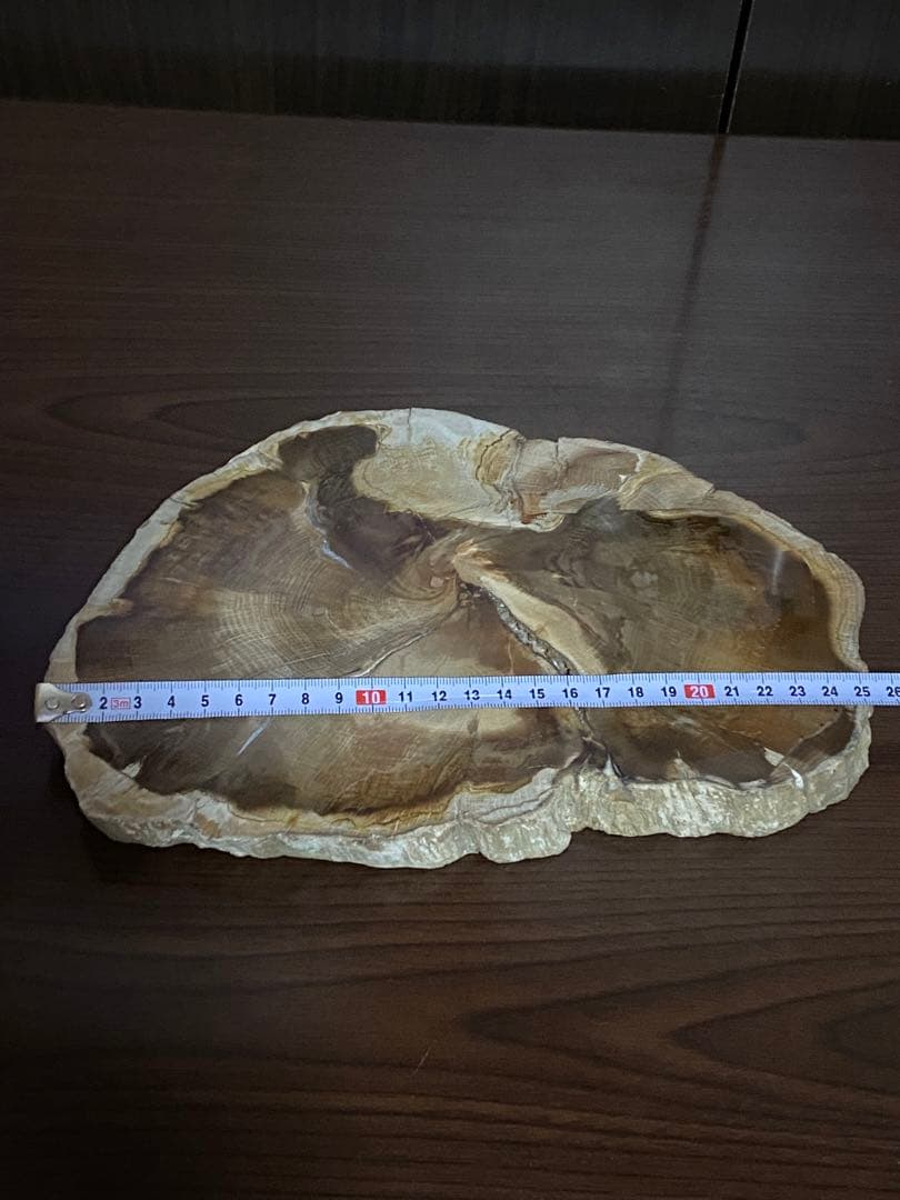 超〜特大 博物館級ペトリファイドウッド原石 唯一無二の美麗さ艶 珪化木 化石木