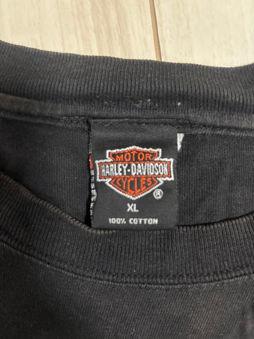 賈充Harley-Davidson フェードフレイム　イーグルロンT XL