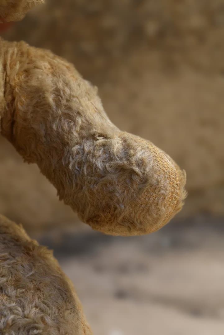 フランスアンティーク たくさん可愛がられたテディベア 熊ぬいぐるみ