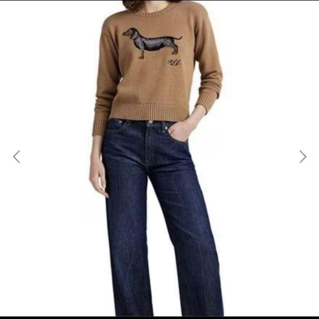 poloラルフローレン　ニット　犬　ダックス