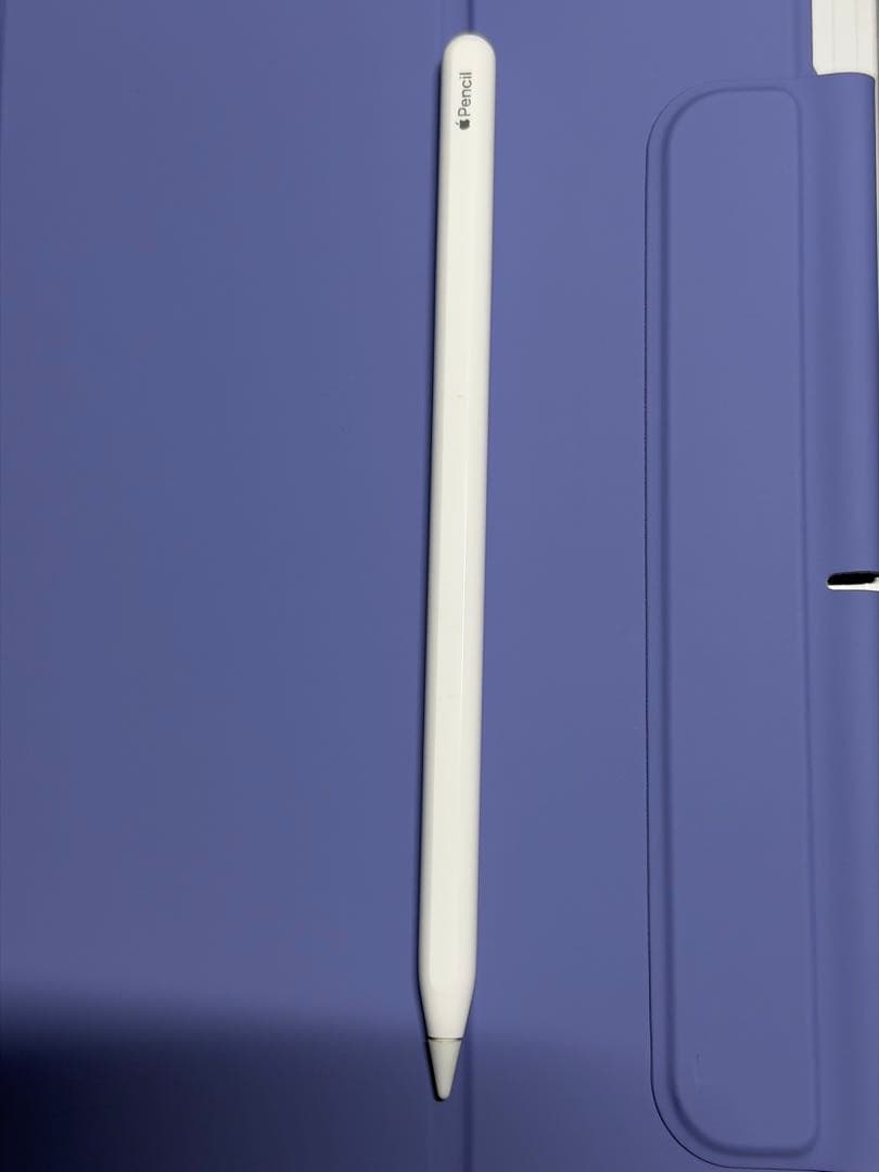 iPad Pro 12.9 第4世代 256GB ApplePencil2付き